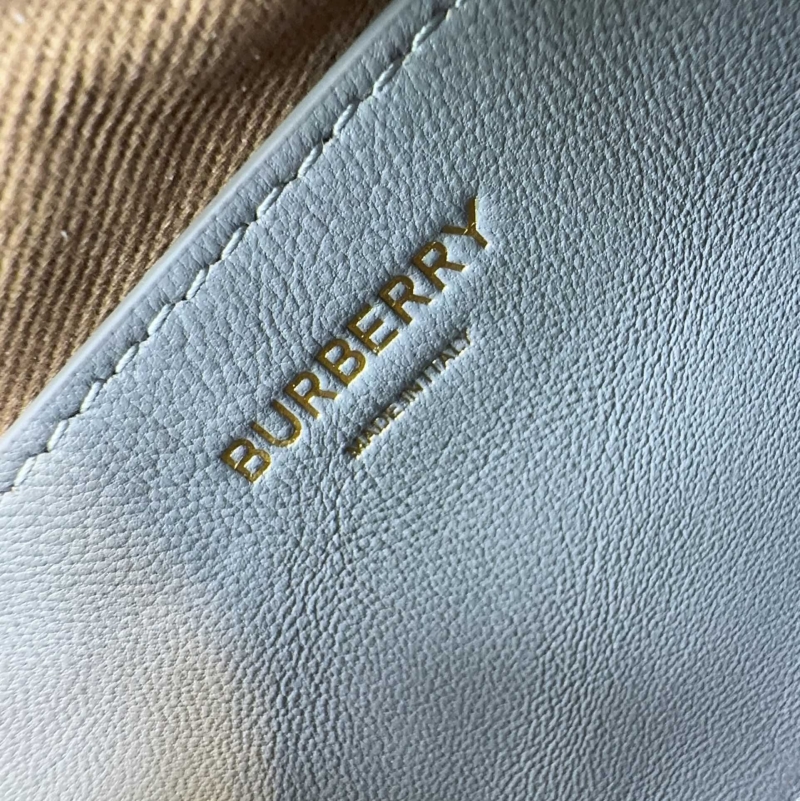 Bv*b*rry camera bags